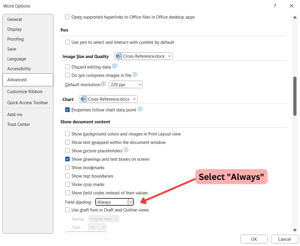 Word Options Always show field shading Cross Reference bpwebs